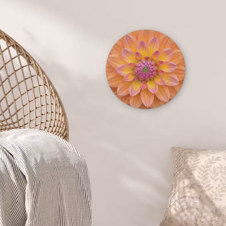 Dahlia - Bloem - Oranje Akoestische PET Vilt - Rond klein -sfeer4