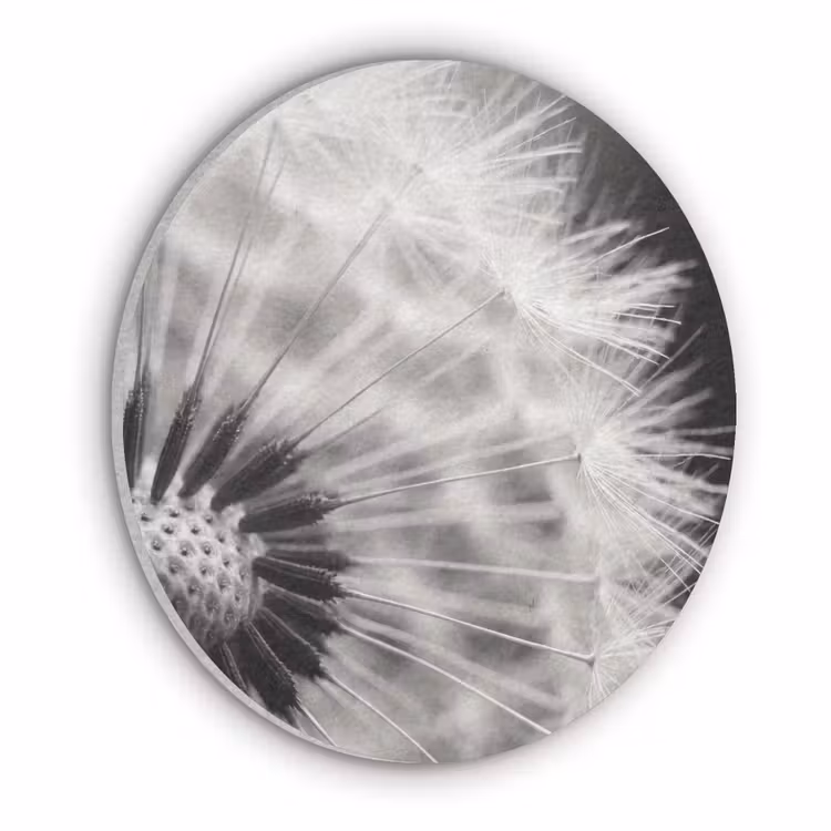 Paardenbloem - Zwart - Wit Akoestische PET Vilt - Rond klein -3d