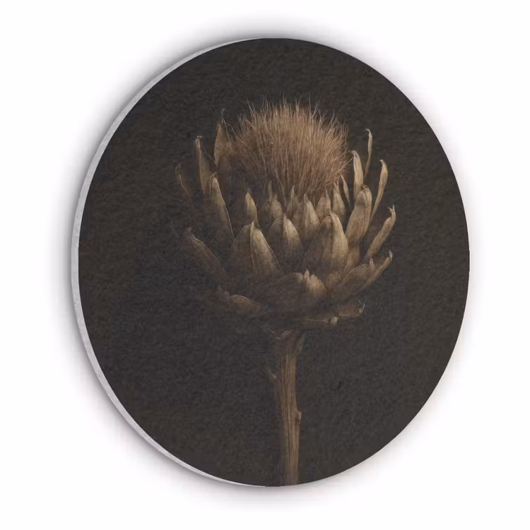 Donkerbruin - Bloem - Textuur - Artisjok Akoestische PET Vilt - Rond klein -3d