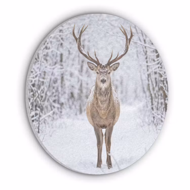 Hert - Winter - Bos - Natuur - Wit Akoestische PET Vilt - Rond klein -3d