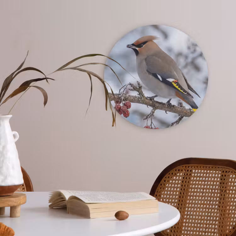 Pestvogel - Bessen - Winter - Natuur Akoestische PET Vilt - Rond klein -sfeer3