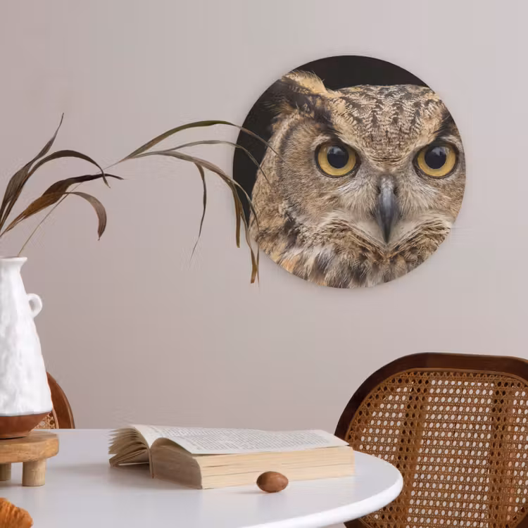 Oehoe - Uil - Portret - Bruin Akoestische PET Vilt - Rond klein -sfeer3