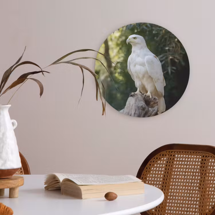 Arend - Hout - Wit - Planten Akoestische PET Vilt - Rond klein -sfeer3
