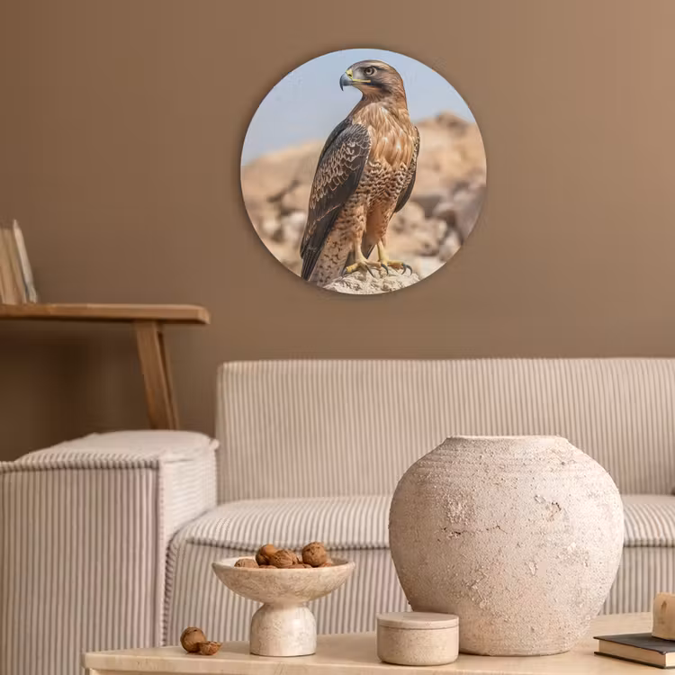 Valk - Vogel - Rots - Macht Akoestische PET Vilt - Rond klein -sfeer1