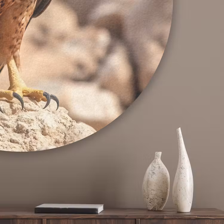 Valk - Vogel - Rots - Macht Akoestische PET Vilt - Rond klein -sfeer5_closeup