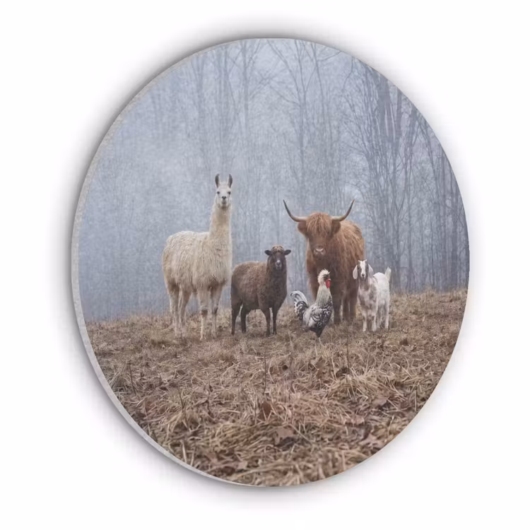 Boerderijdieren - Groep - Mist - Natuur - Rustiek Akoestische PET Vilt - Rond klein -3d