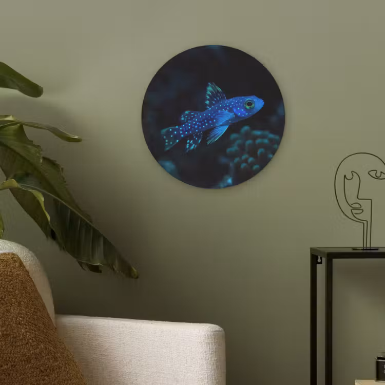 Vis - Stippen - Koraal - Blauw Akoestische PET Vilt - Rond klein -sfeer2