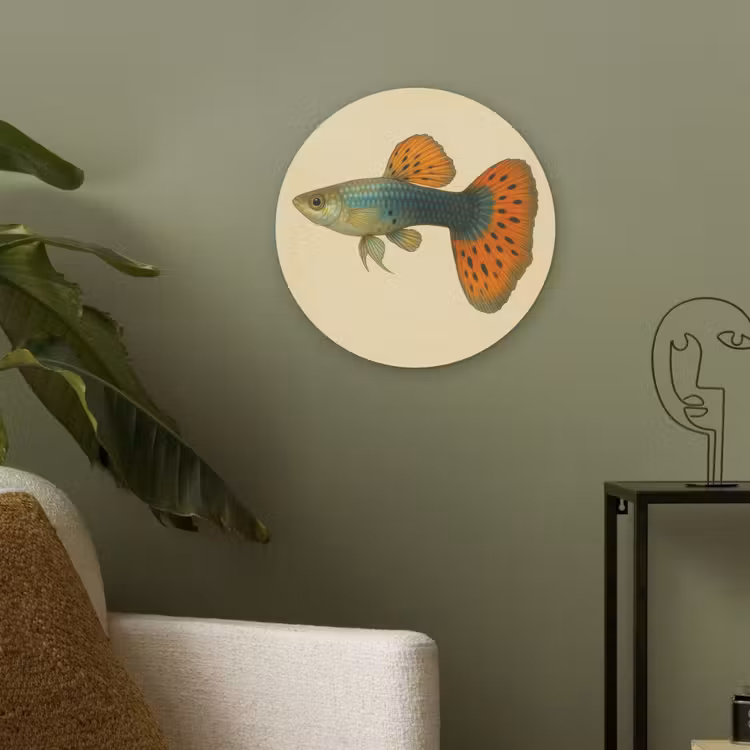 Vis - illustratie - Stippen - Oranje Akoestische PET Vilt - Rond klein -sfeer2