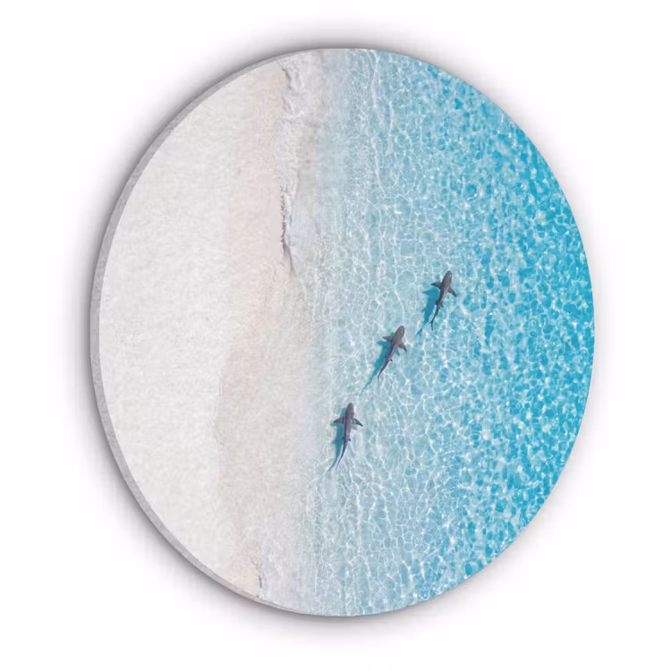 Vis - Oceaan - Strand - Turquoise - Natuur Akoestische PET Vilt - Rond klein -3d