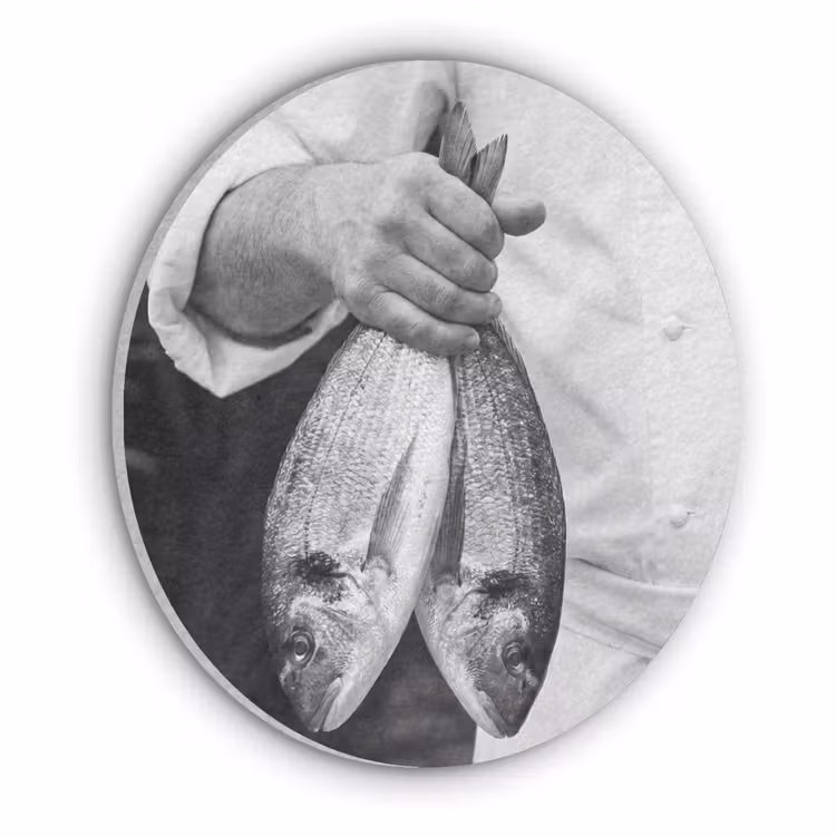 Vissen - Chef - Zwart - Wit Akoestische PET Vilt - Rond klein -3d