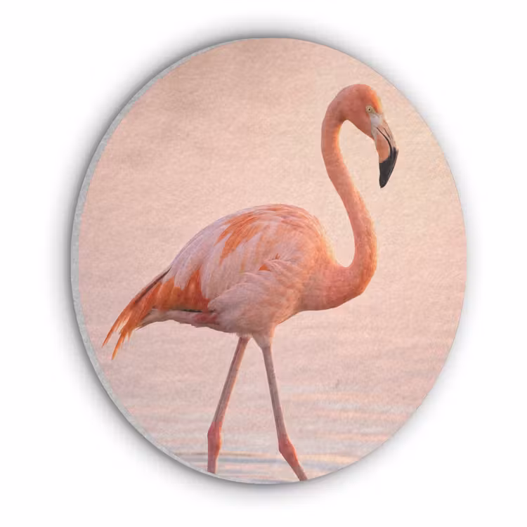 Flamingo - Water - Roze Akoestische PET Vilt - Rond klein -3d