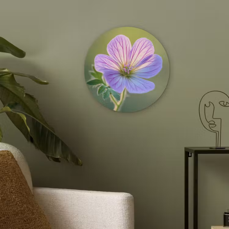 Bloem - Close up - Paars Akoestische PET Vilt - Rond klein -sfeer2