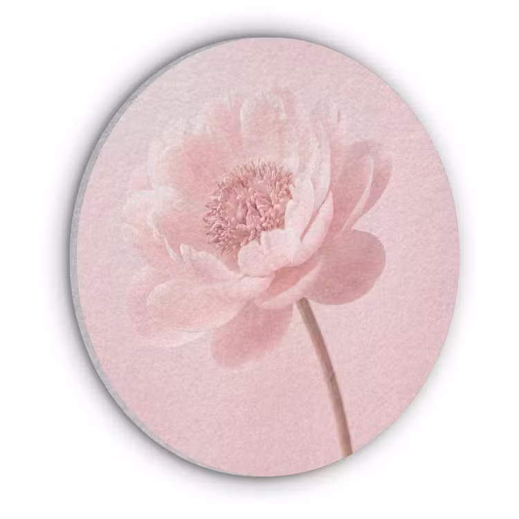 Bloem - Pioenroos - Roze Akoestische PET Vilt - Rond klein -3d
