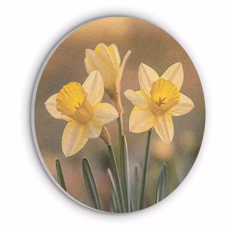 Bloemen - Geel - Wazig Akoestische PET Vilt - Rond klein -3d