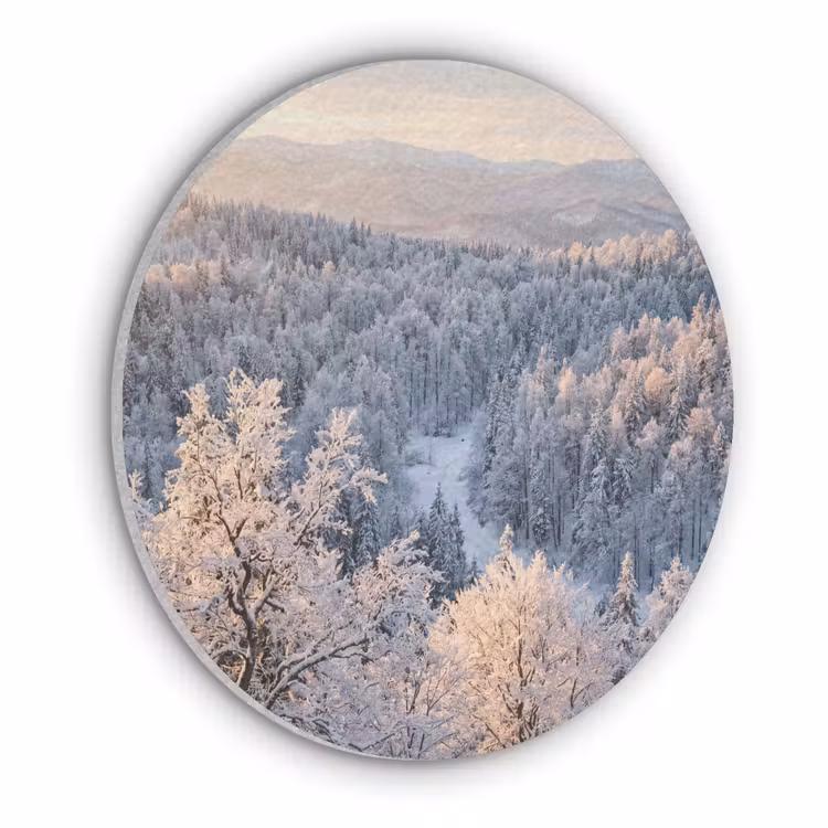 Bos - Bergen - Goud - Winter - Warm Akoestische PET Vilt - Rond klein -3d