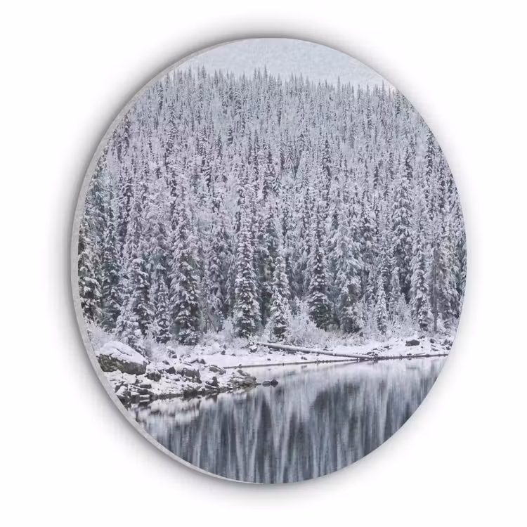 Bos - Reflectie - Meer - Winter - Serene Akoestische PET Vilt - Rond klein -3d