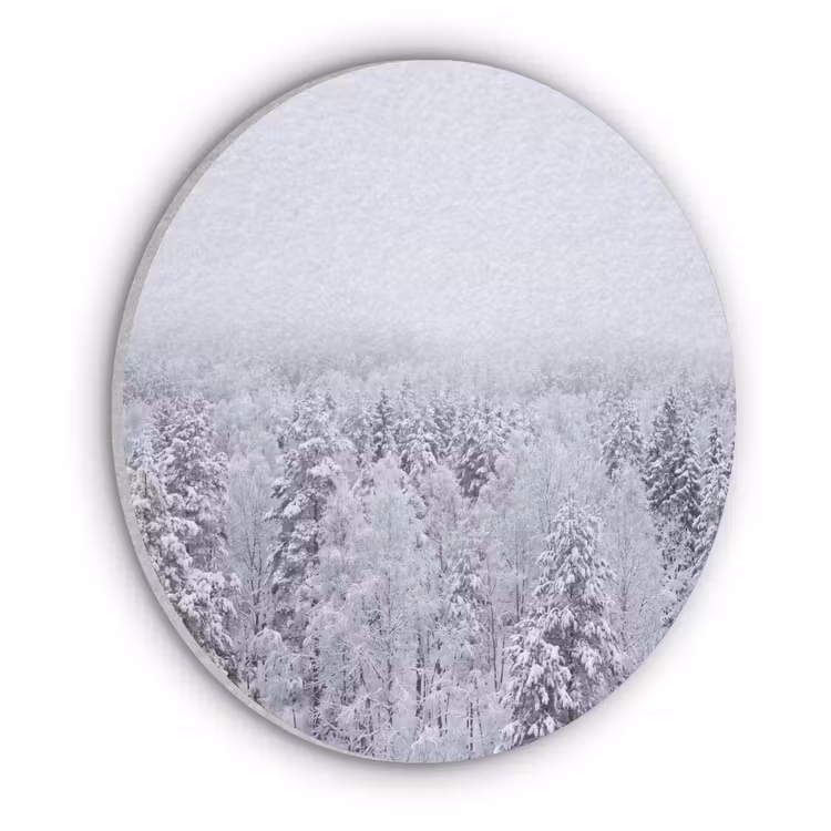 Bos - Sneeuw - Winter - Natuur - Wit Akoestische PET Vilt - Rond klein -3d