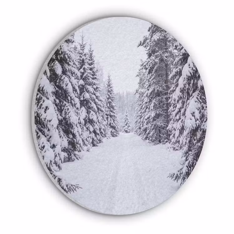 Bos - Winter - Sneeuw - Pad - Natuur Akoestische PET Vilt - Rond klein -3d