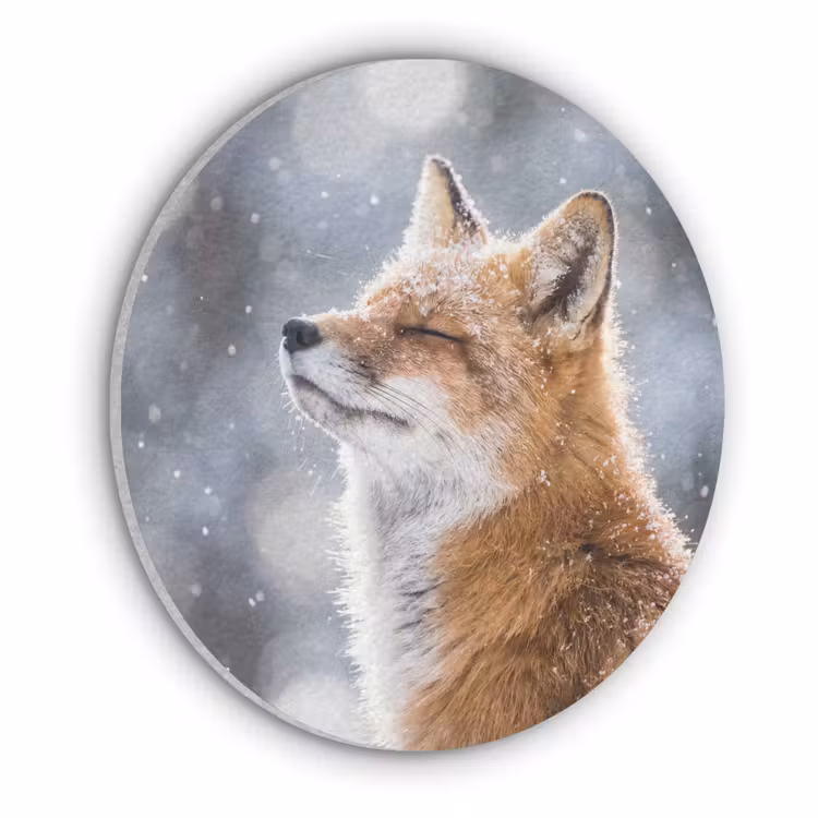 Vos - Sneeuwval - Portret - Winter - Sfeervol Akoestische PET Vilt - Rond klein -3d