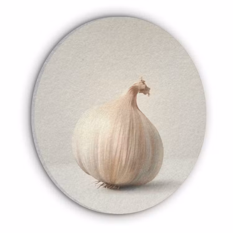 Knoflook - Natuurlijk - Beige Akoestische PET Vilt - Rond klein -3d