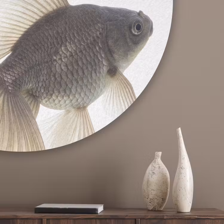 Goudvissen - Modern - Wit Akoestische PET Vilt - Rond klein -sfeer5_closeup