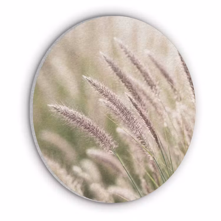 Gras - Close up - Groen Akoestische PET Vilt - Rond klein -3d