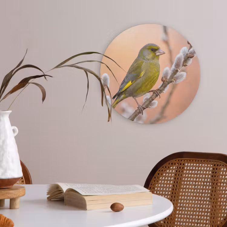 Groenling - Katjes - Lente - Natuur - Zacht Akoestische PET Vilt - Rond klein -sfeer3