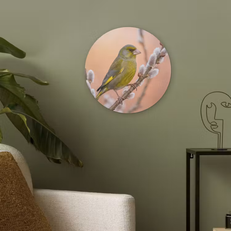 Groenling - Katjes - Lente - Natuur - Zacht Akoestische PET Vilt - Rond klein -sfeer2