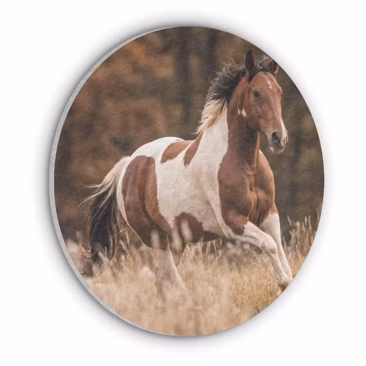Paard - Bruin - Gras Akoestische PET Vilt - Rond klein -3d