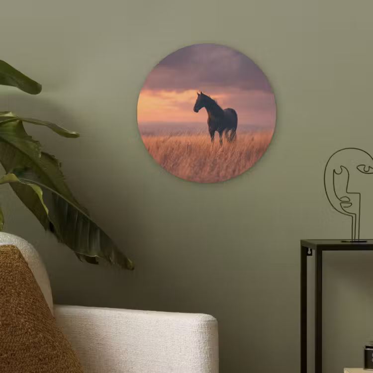 Paard - Wolken - Open veld Akoestische PET Vilt - Rond klein -sfeer2