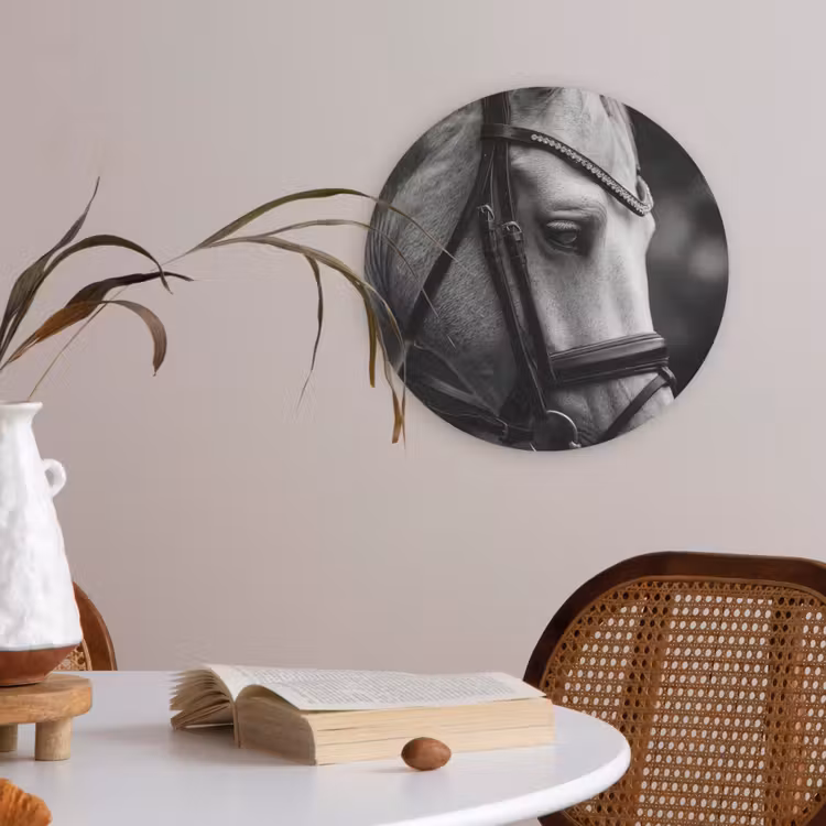 Paard - Schimmel - Portret Akoestische PET Vilt - Rond klein -sfeer3