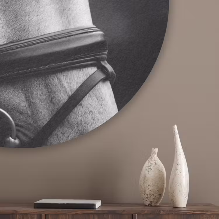 Paard - Schimmel - Portret Akoestische PET Vilt - Rond klein -sfeer5_closeup
