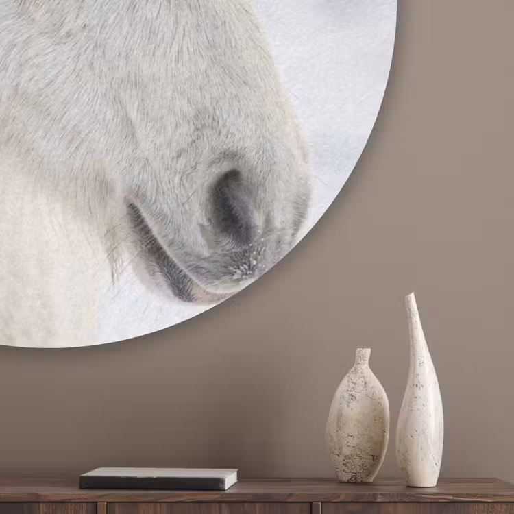 Paard - Kop - Winter - Dieren - Wit Akoestische PET Vilt - Rond klein -sfeer5_closeup