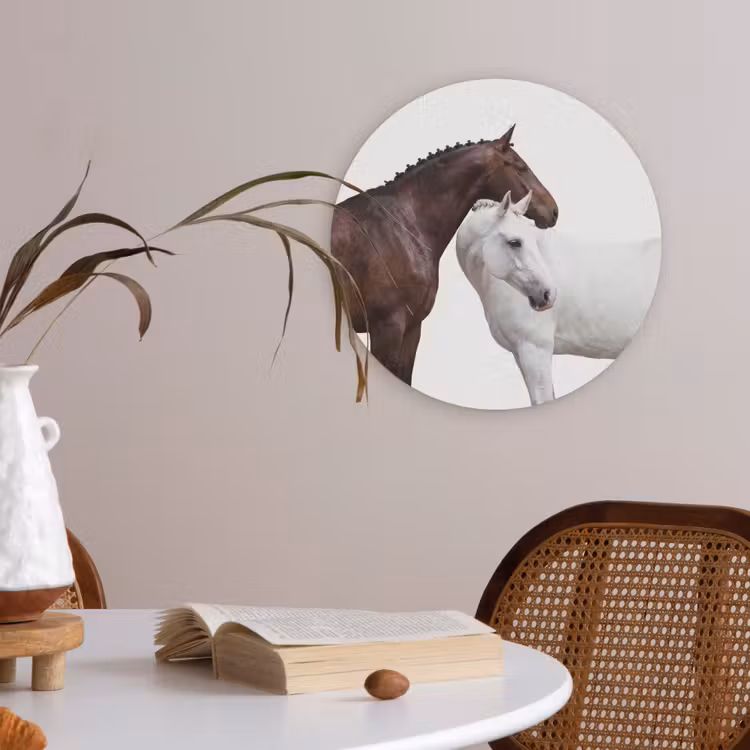 Paard - Modern - Balans Akoestische PET Vilt - Rond klein -sfeer3