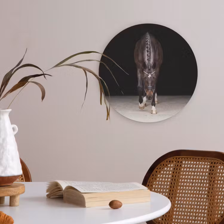 Paard - Modern - Portret Akoestische PET Vilt - Rond klein -sfeer3