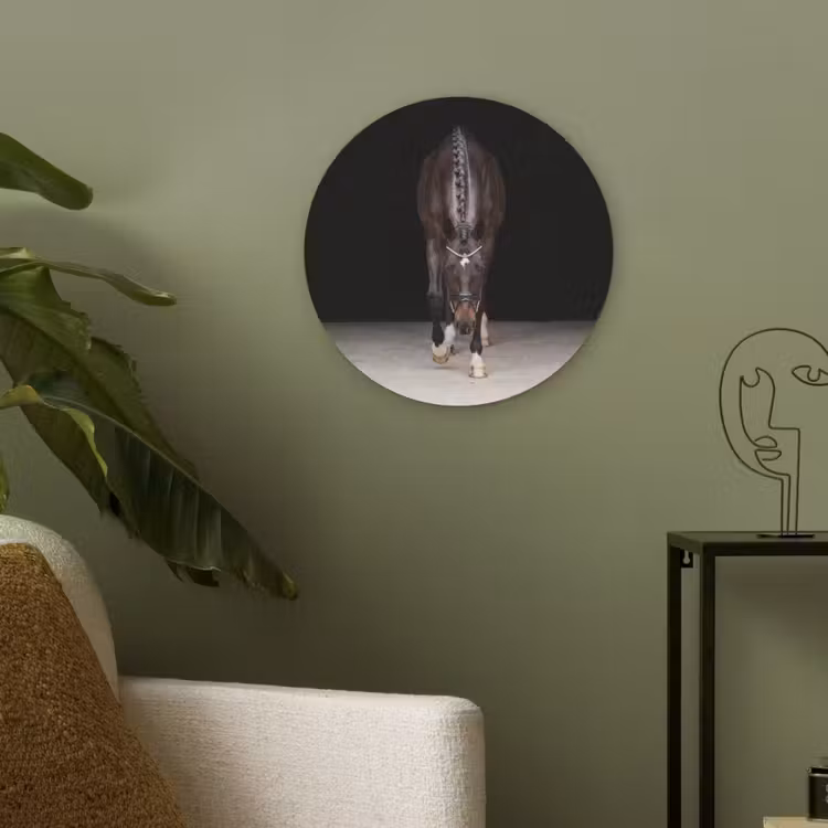Paard - Modern - Portret Akoestische PET Vilt - Rond klein -sfeer2