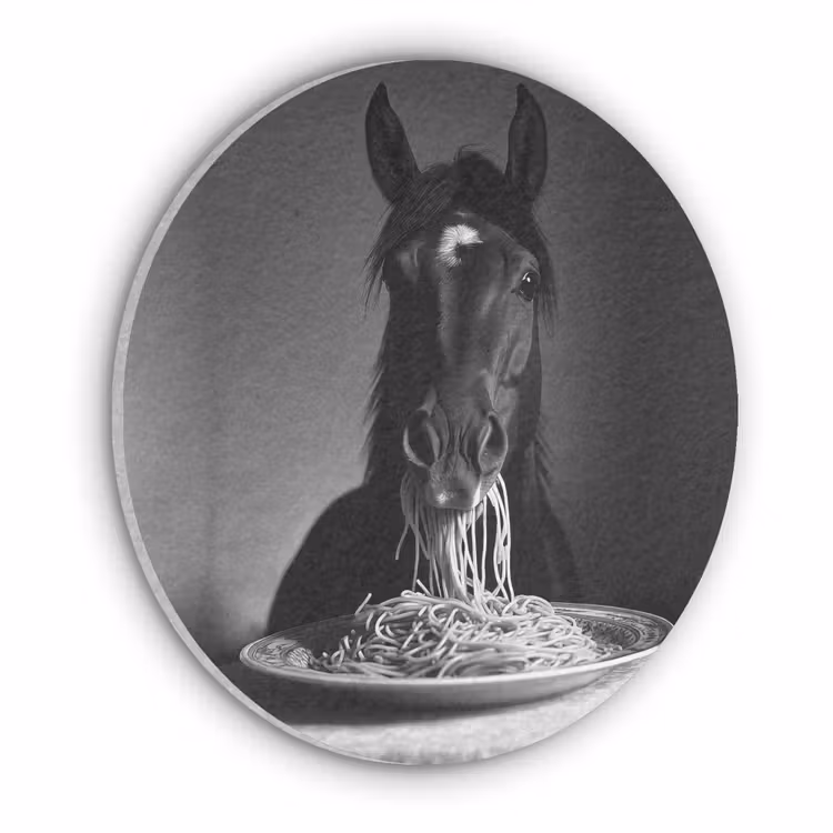 Paard - Bord - Pasta - Tafelkleed - Zwart Wit - Dieren Akoestische PET Vilt - Rond klein -3d