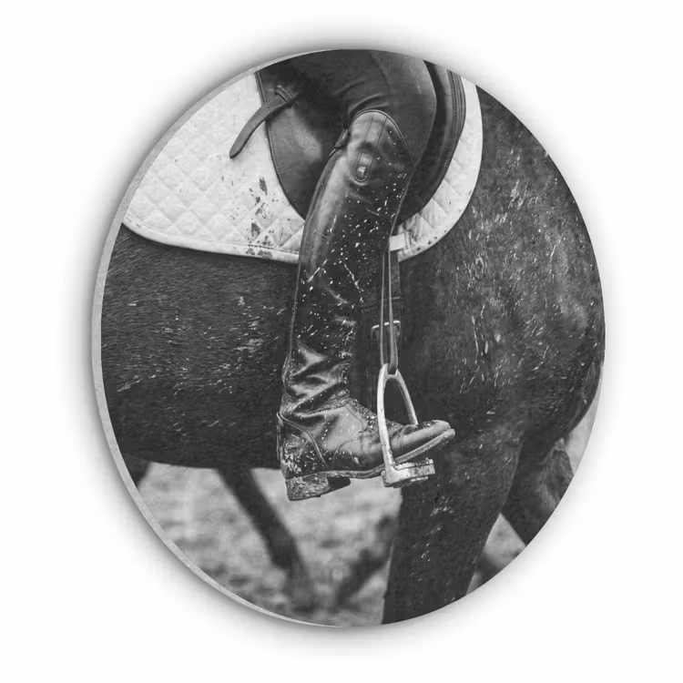 Paard - Sport - Zwart - Wit Akoestische PET Vilt - Rond klein -3d