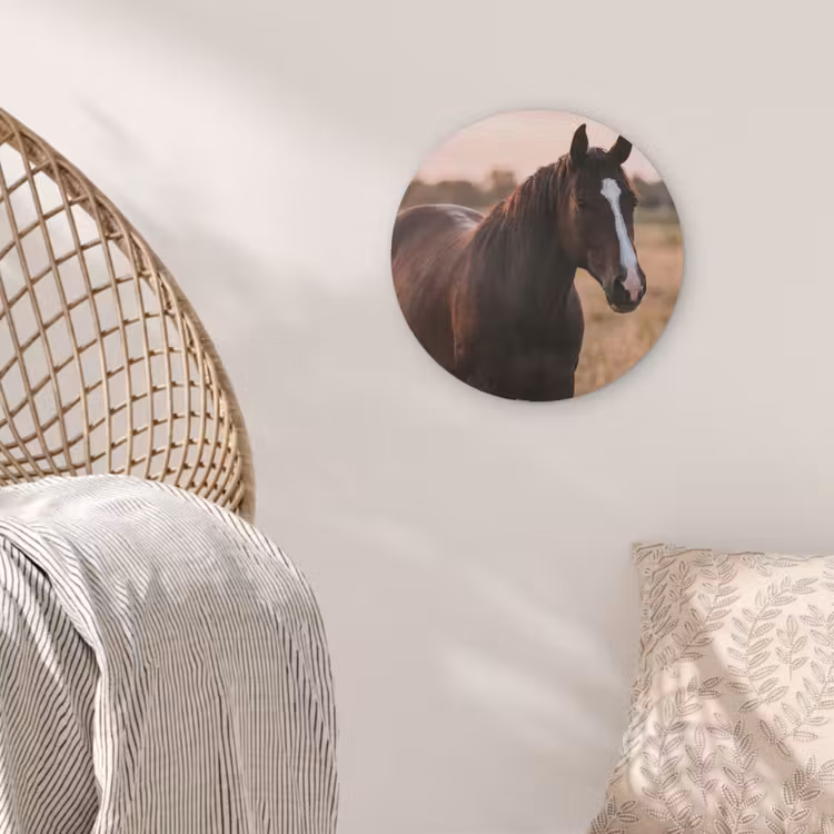Paard - Zonsondergang - Bruin Akoestische PET Vilt - Rond klein -sfeer4
