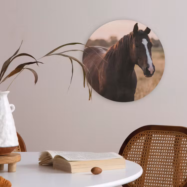 Paard - Zonsondergang - Bruin Akoestische PET Vilt - Rond klein -sfeer3