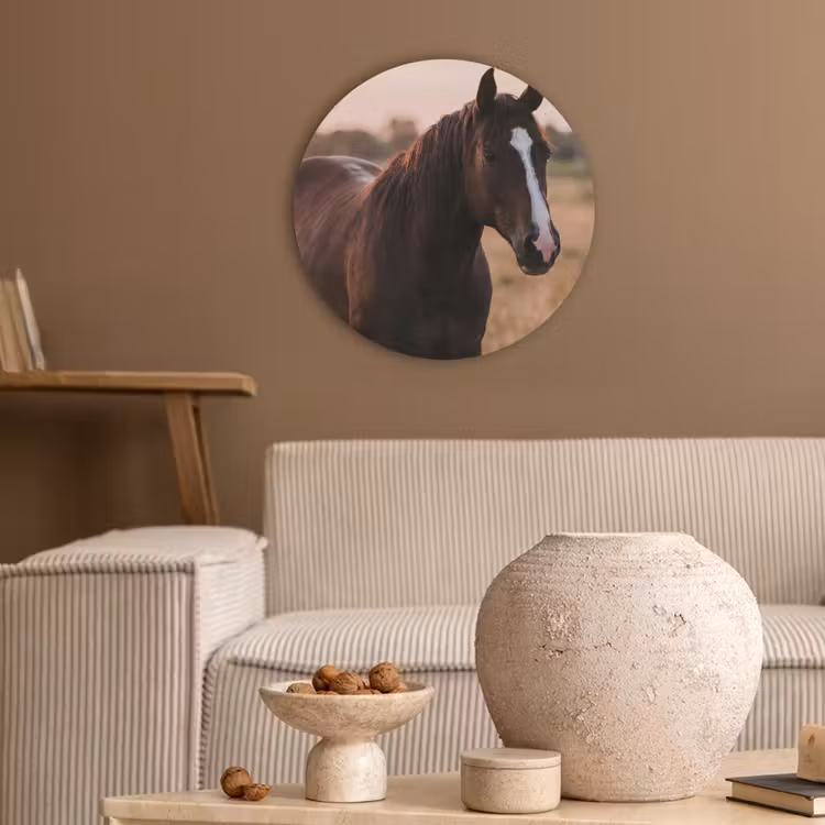 Paard - Zonsondergang - Bruin Akoestische PET Vilt - Rond klein -sfeer1