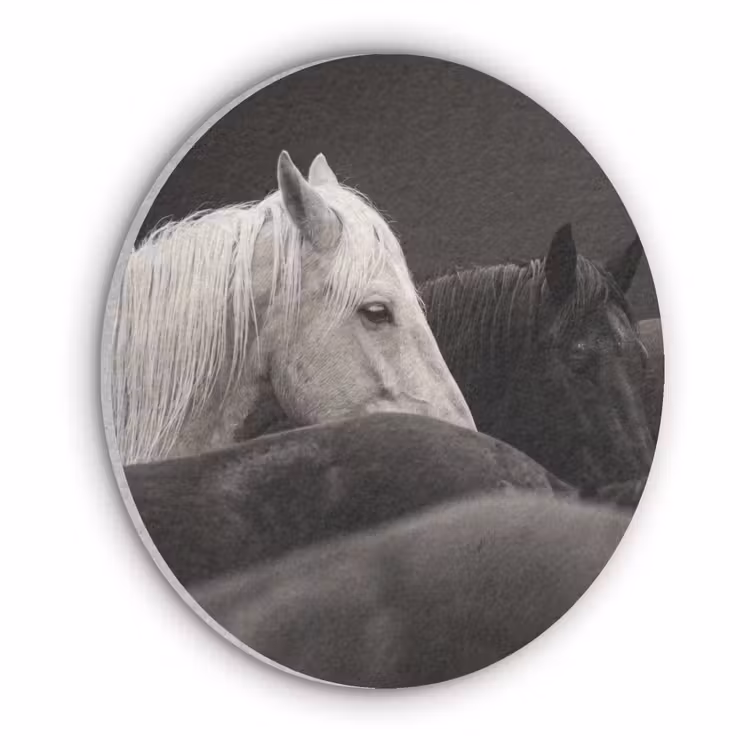 Paarden - Zwart - Wit - Kudde Akoestische PET Vilt - Rond klein -3d