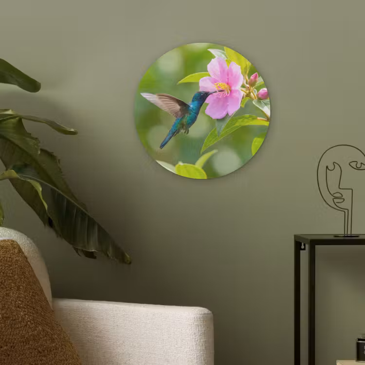 Kolibrie - Bloem - Natuur - Groen Akoestische PET Vilt - Rond klein -sfeer2