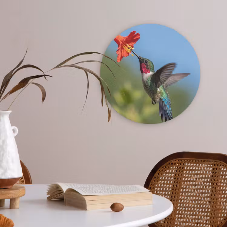 Kolibrie - Bloem - Natuur - Groen Akoestische PET Vilt - Rond klein -sfeer3