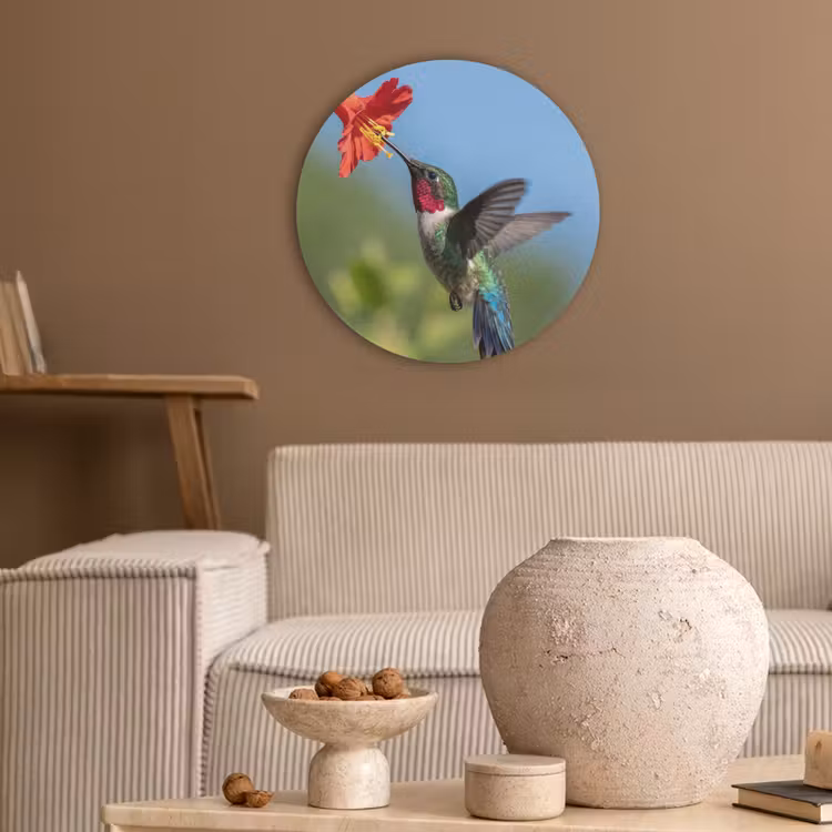 Kolibrie - Bloem - Natuur - Groen Akoestische PET Vilt - Rond klein -sfeer1