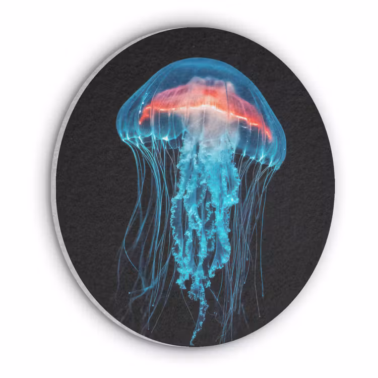 Kwal - Tentakels - Blauw - Licht Akoestische PET Vilt - Rond klein -3d