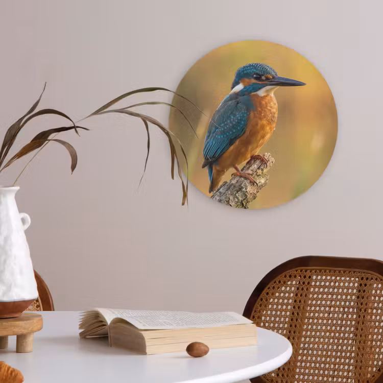 IJsvogel - Tak - Water - Kleurrijk - Levendig Akoestische PET Vilt - Rond klein -sfeer3