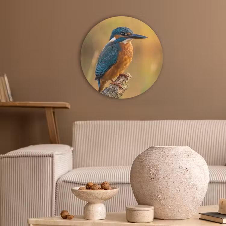 IJsvogel - Tak - Water - Kleurrijk - Levendig Akoestische PET Vilt - Rond klein -sfeer1