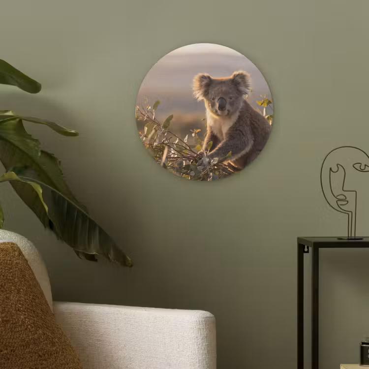 Koala - Bladeren - Ochtendlicht Akoestische PET Vilt - Rond klein -sfeer2