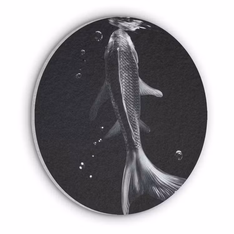 Koi - Vissen - Water - Zwart Akoestische PET Vilt - Rond klein -3d